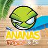 Recette concentrée Ananas-Tropical & Co